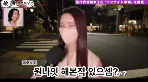 일본 누님의 원나잇 후기