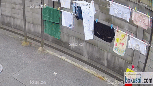 성진국에서 흔히 생기는 일