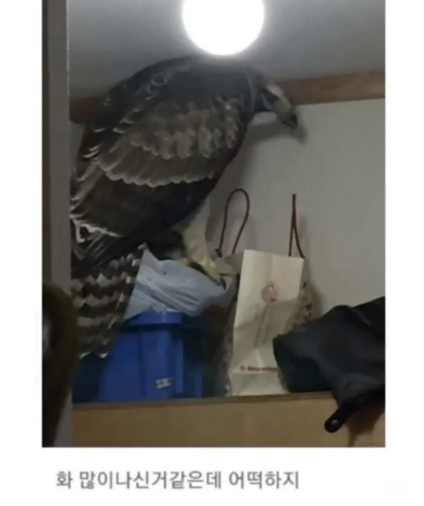 매형 찾아와서 창문 부시고 난리남