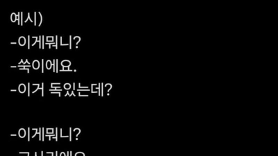 한국인 며느리가 날 암살하려는 것 같다