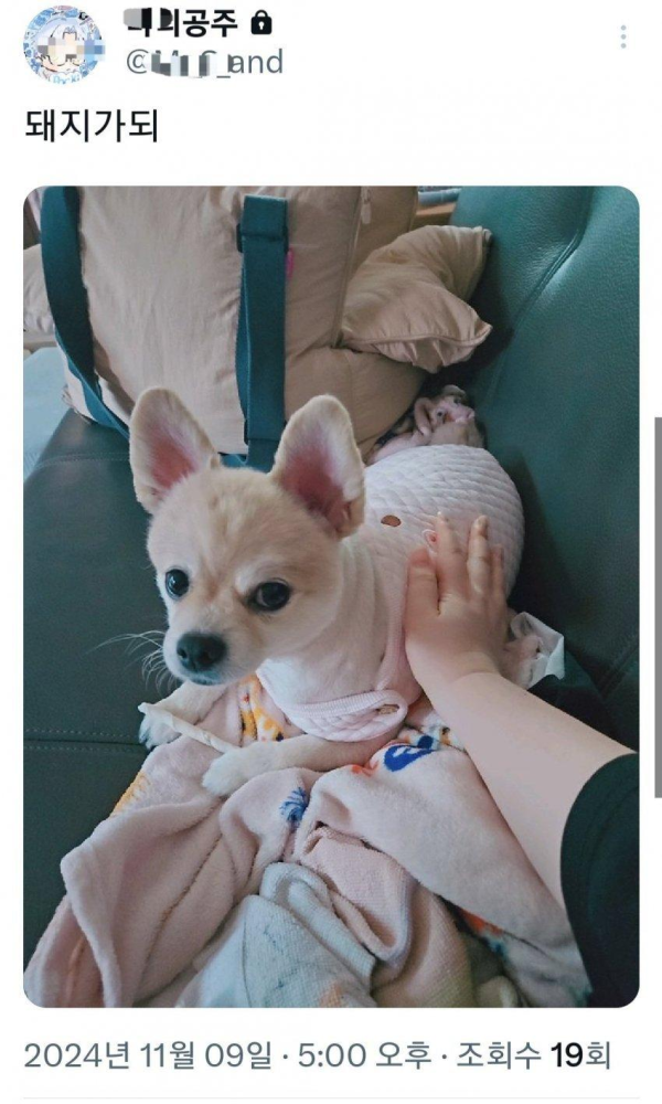 한국남자들은 땀 냄새가 심하다는 여자