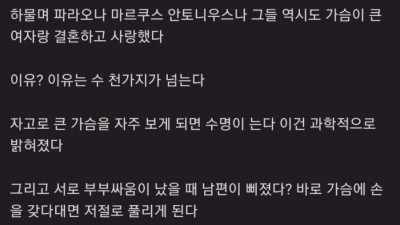 가슴 큰 여자랑 결혼해야 하는 이유