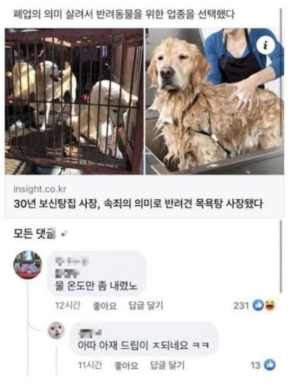 보신탕집 사장이 속죄로 택한 업종