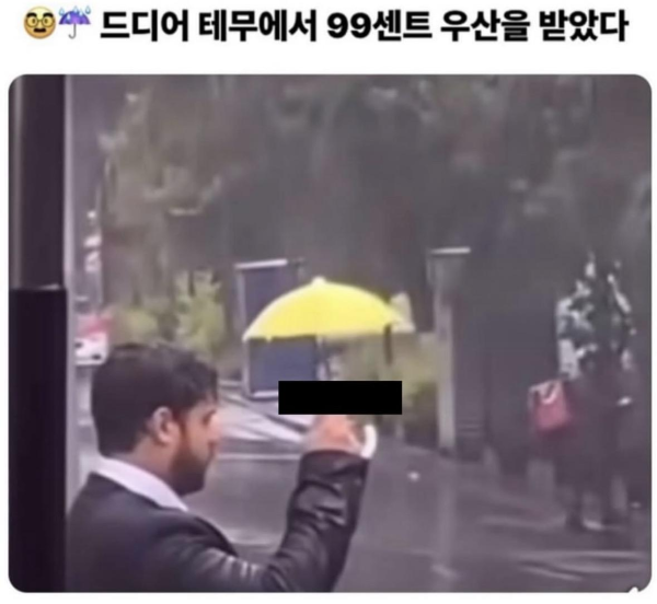 테무 리뷰 모음집