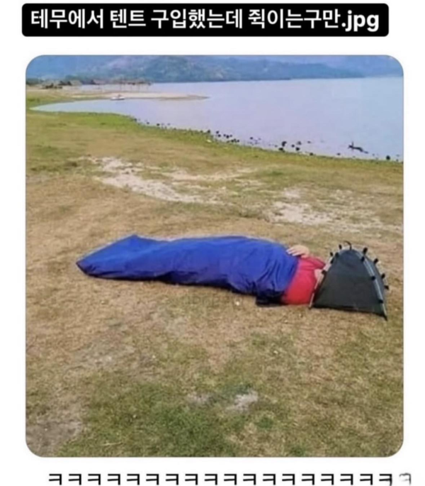 테무 리뷰 모음집