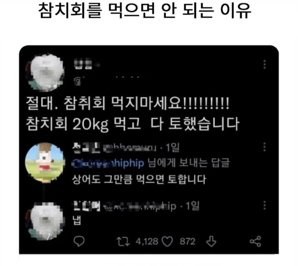 참치회를 먹으면 안되는 이유