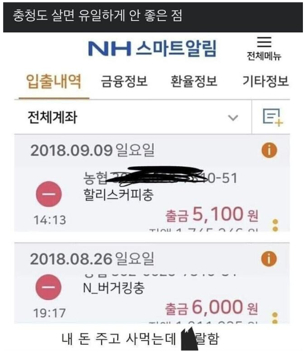 충청도 살면 생기는 단점