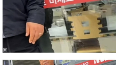 울릉도 최신근황