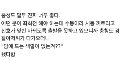 충청도식 드립 모음