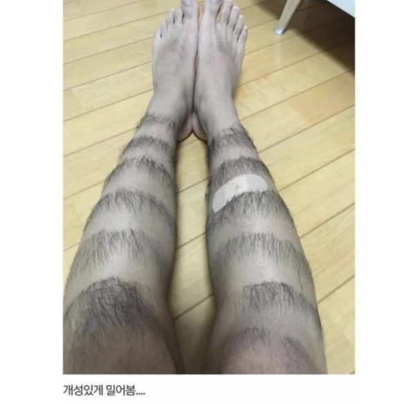 혐) 다리털 아티스트