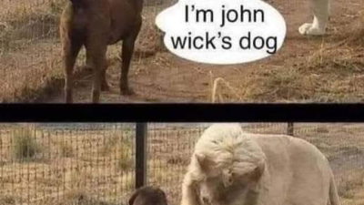 난 정글의 왕이다