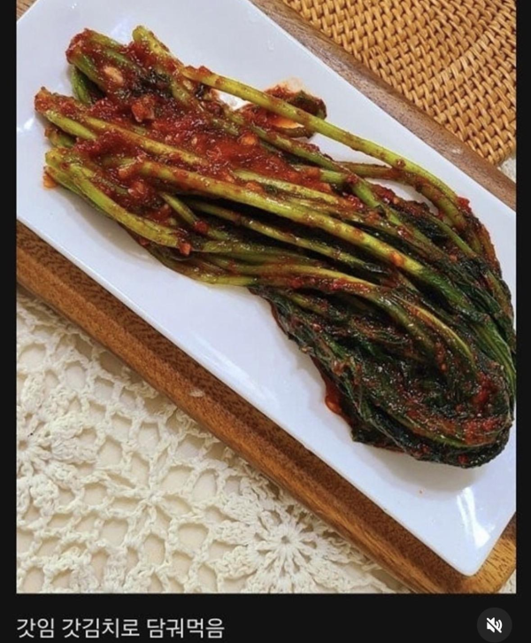 식물계의 명태로 불리우는 어느 식물