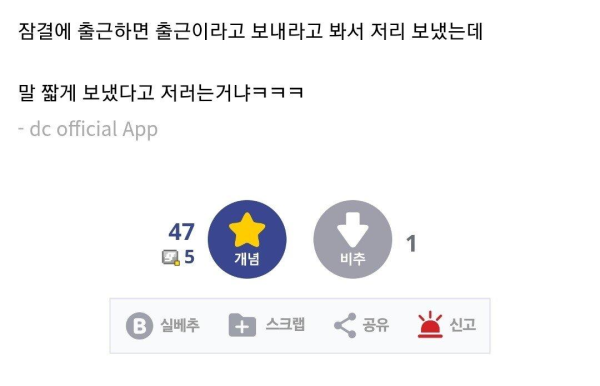 상하차 출근 거부당한 디시인