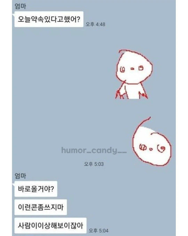 엄마와의 카톡 내용