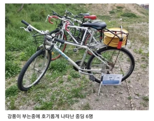 캠핑장에 출몰한 중딩들