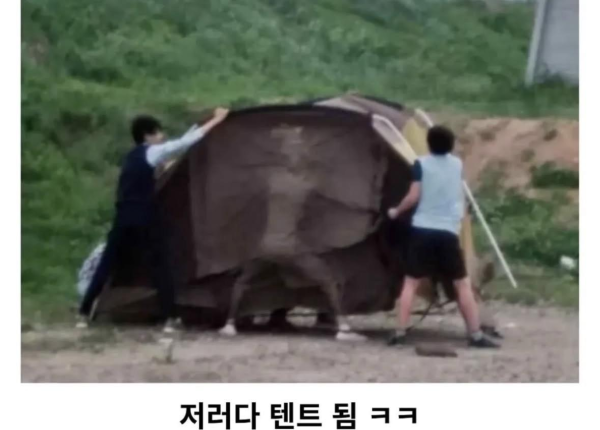 캠핑장에 출몰한 중딩들
