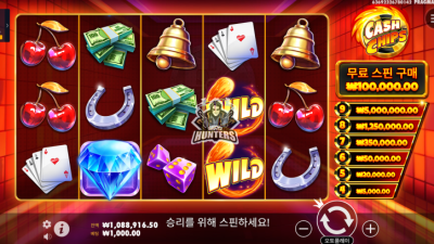 캐시 칩스 Cash Chips[슬롯까불이]