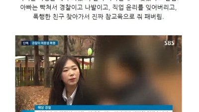 딸이 계속 폭행 당하자 가해자 줘팬 아빠