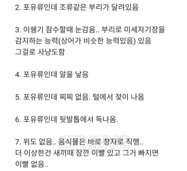 신이 졸다가 잘못만든 포유류