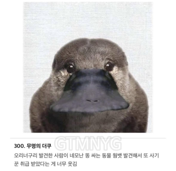 신이 졸다가 잘못만든 포유류