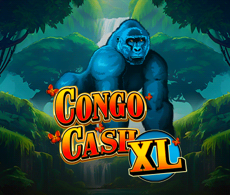 콩고 캐쉬 XL