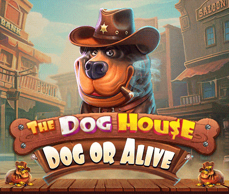 도그 하우스 - 도그 or 얼라이브