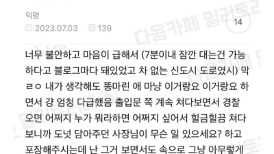 초보운전의 주정차 썰