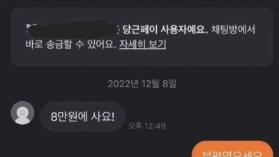 당근 판매자의 깊은 빡침