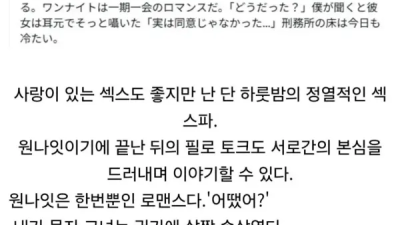 원나잇이 한번뿐인 로맨스라는 사람