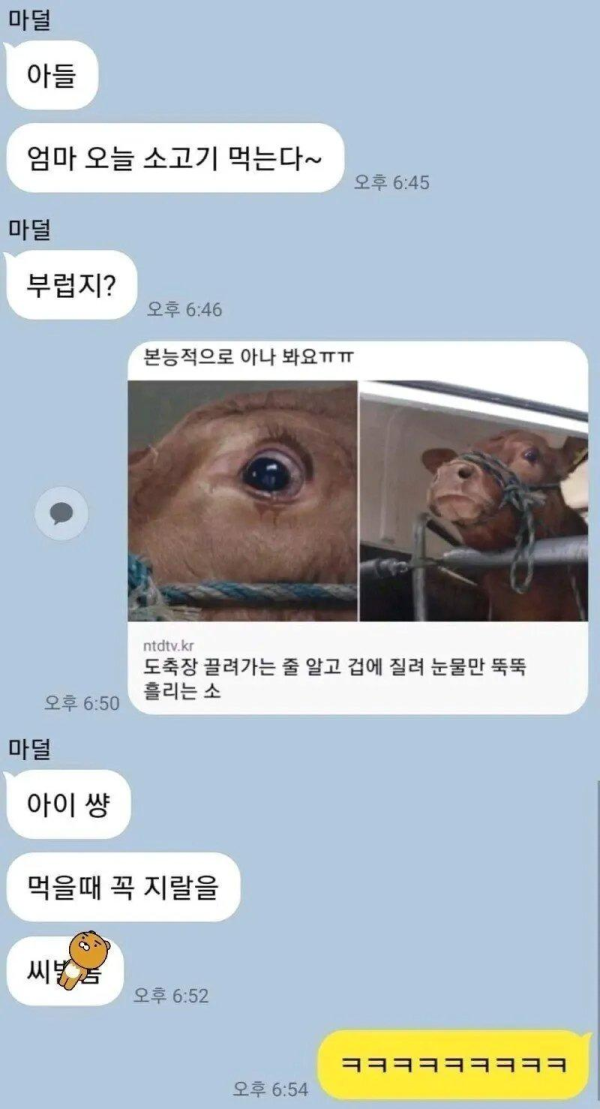엄마와 아들 카톡
