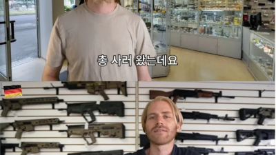독일에서 총 구매하는 방법