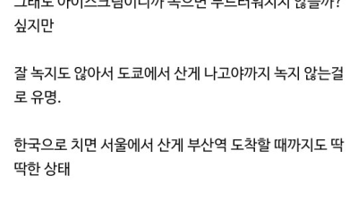 일본의 고급 아이스크림