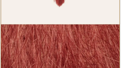 킴카다시안이 런칭한 신상팬티