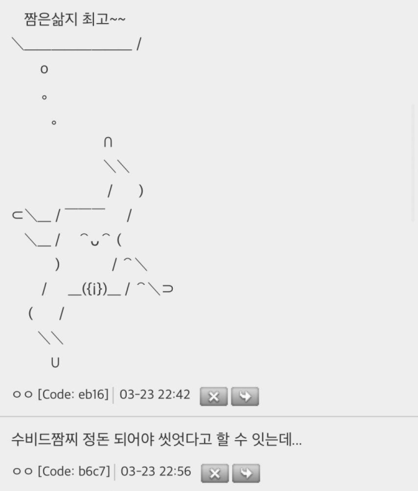 잠지는 삶아야지 제맛이라는 여자들