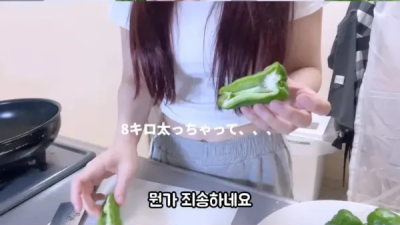 8kg 쪄서 사과하는 일본 스트리머