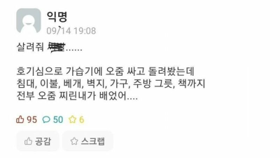 호기심 때문에 대참사 난 대학생