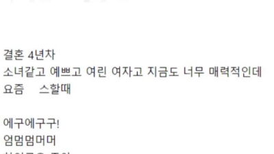 와이프가 변했다는 디시인