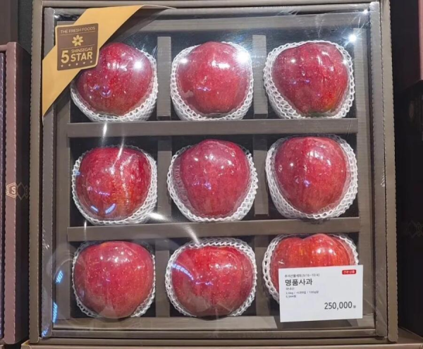 5스타 명품 사과 가격