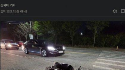 당근마켓 뒤져 뺑소니범 찾은 누나