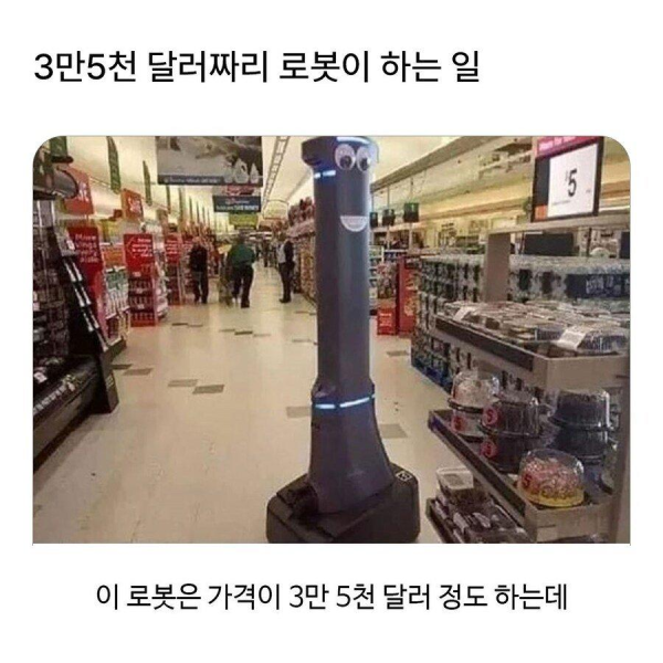 3만5천 달러짜리 로봇이 하는 일