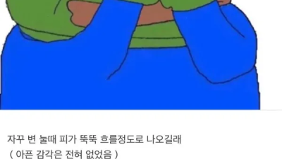 ㄸㄲ에 피나서 병원갔더니