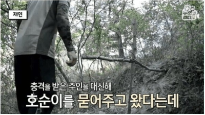 죽은 강아지가 살아서 돌아왔다