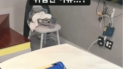 요즘 펜션이 욕먹는 이유