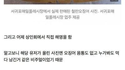 고소당하게 생긴 유저