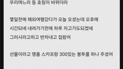 5년만에 사과하신 시엄마