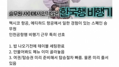 스페인 승무원이 생각하는 한국인 승객 특징