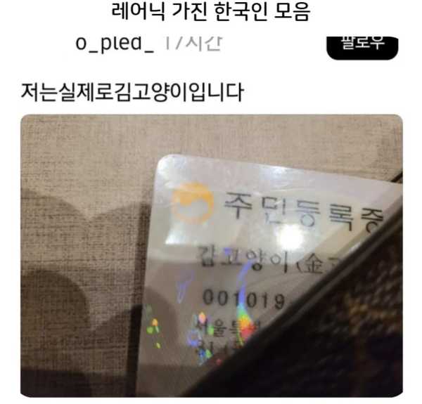레어닉 가진 한국인 모음