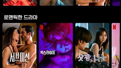 넷플에서 성인물 검색하는 방법