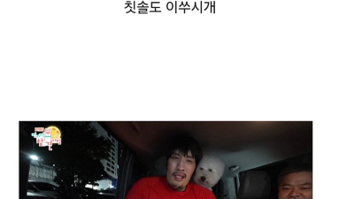 모든 걸 귀엽게 만드는 능력