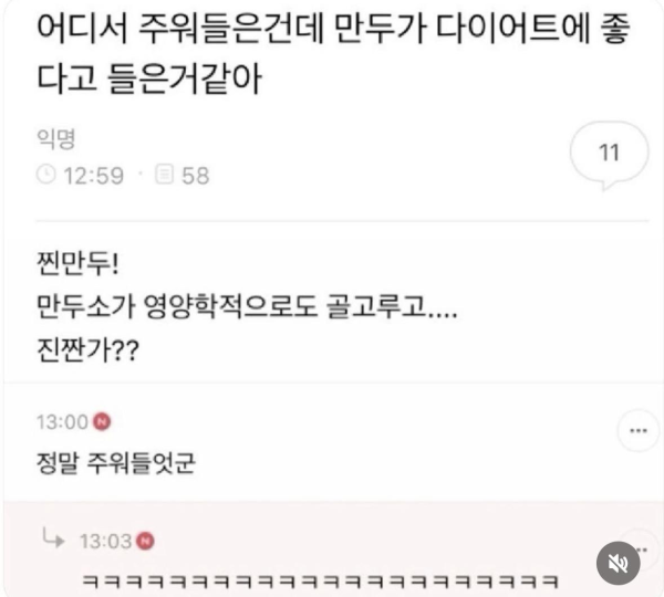 만두가 다이어트에 좋대